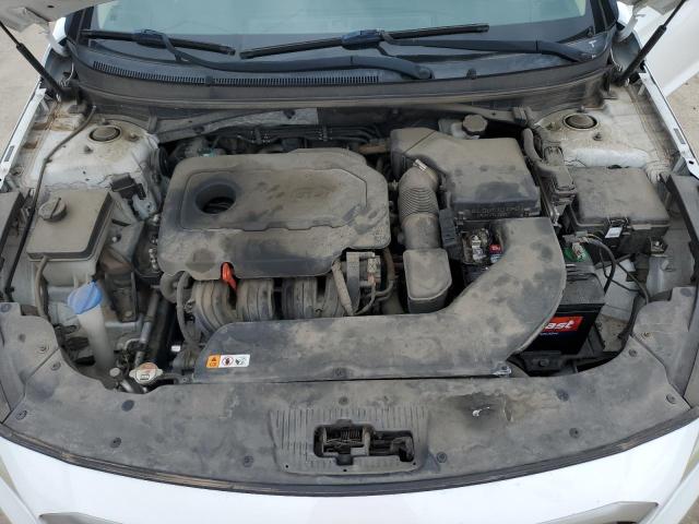 Photo 10 VIN: 5NPE24AF4GH261476 - HYUNDAI SONATA 