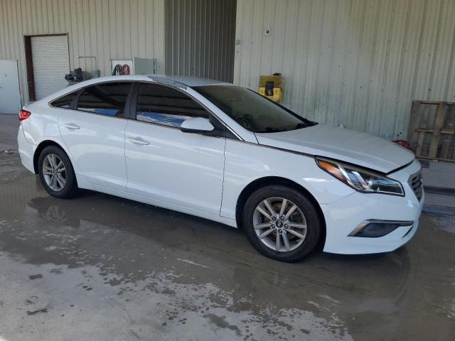 Photo 3 VIN: 5NPE24AF4GH266614 - HYUNDAI SONATA SE 