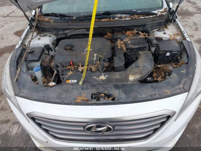 Photo 9 VIN: 5NPE24AF4GH277077 - HYUNDAI SONATA 