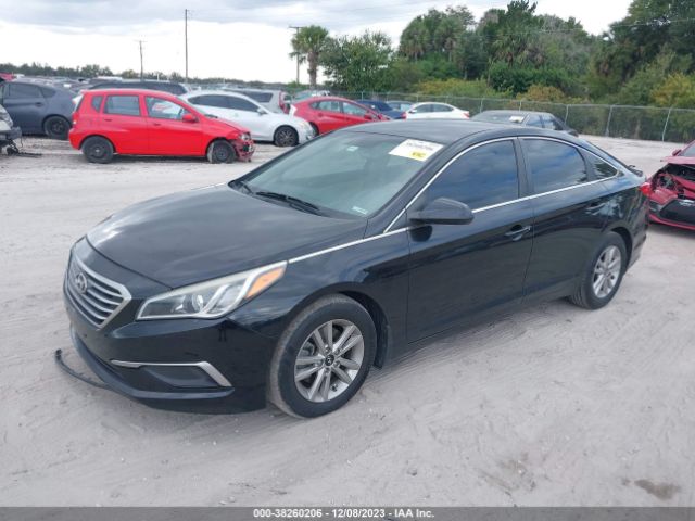 Photo 1 VIN: 5NPE24AF4GH290654 - HYUNDAI SONATA 