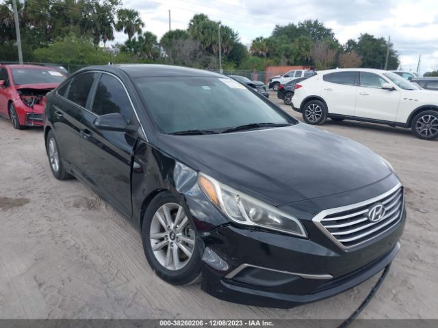 Photo 5 VIN: 5NPE24AF4GH290654 - HYUNDAI SONATA 