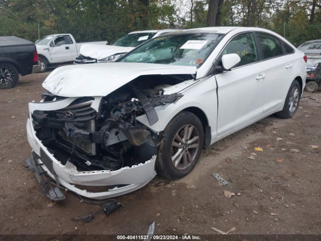 Photo 5 VIN: 5NPE24AF4GH301233 - HYUNDAI SONATA 