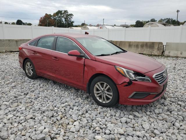 Photo 3 VIN: 5NPE24AF4GH304570 - HYUNDAI SONATA SE 