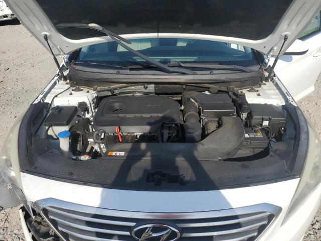 Photo 10 VIN: 5NPE24AF4GH311695 - HYUNDAI SONATA 