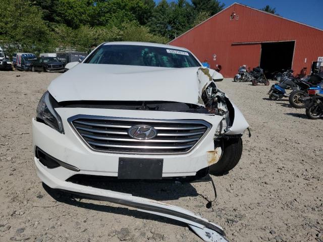 Photo 4 VIN: 5NPE24AF4GH316444 - HYUNDAI SONATA SE 