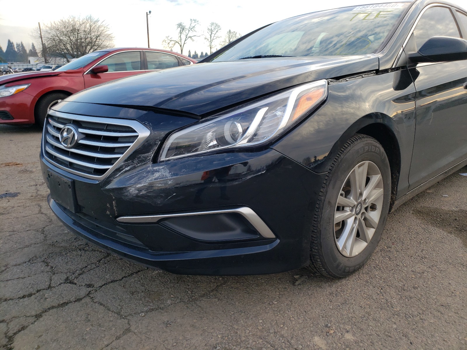 Photo 8 VIN: 5NPE24AF4GH326021 - HYUNDAI SONATA SE 