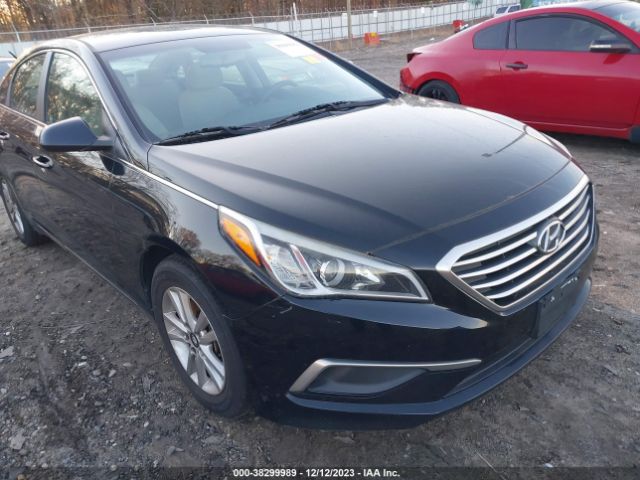 Photo 5 VIN: 5NPE24AF4GH334295 - HYUNDAI SONATA 