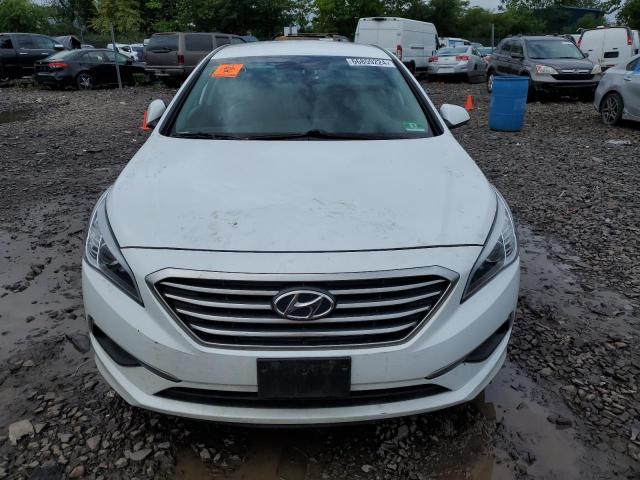 Photo 4 VIN: 5NPE24AF4GH342137 - HYUNDAI SONATA SE 