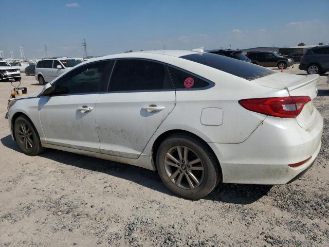 Photo 1 VIN: 5NPE24AF4GH370987 - HYUNDAI SONATA 