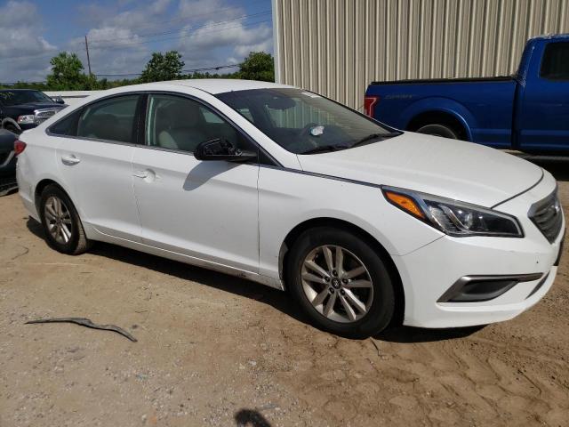 Photo 3 VIN: 5NPE24AF4GH372559 - HYUNDAI SONATA SE 