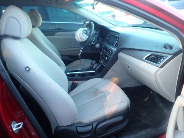 Photo 4 VIN: 5NPE24AF4GH376370 - HYUNDAI SONATA SE 