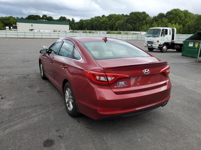 Photo 2 VIN: 5NPE24AF4GH382296 - HYUNDAI SONATA SE 