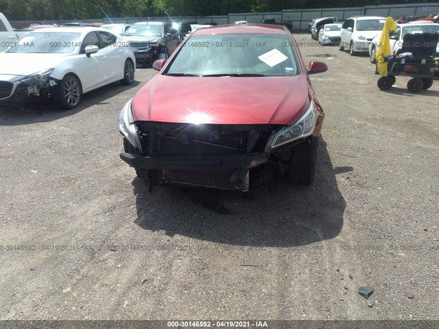 Photo 5 VIN: 5NPE24AF4GH402644 - HYUNDAI SONATA 