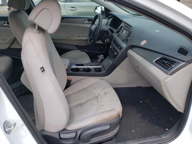 Photo 4 VIN: 5NPE24AF4GH417175 - HYUNDAI SONATA SE 