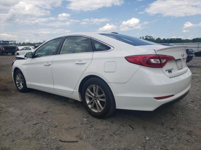 Photo 1 VIN: 5NPE24AF4HH436682 - HYUNDAI SONATA 