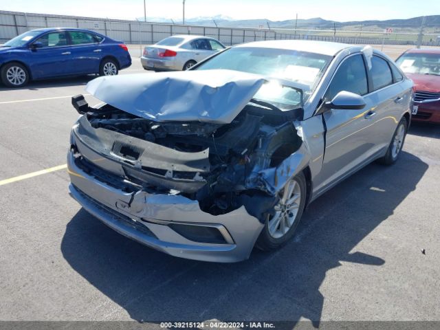 Photo 5 VIN: 5NPE24AF4HH437461 - HYUNDAI SONATA 