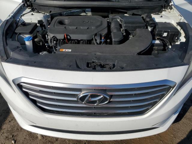 Photo 10 VIN: 5NPE24AF4HH456382 - HYUNDAI SONATA 