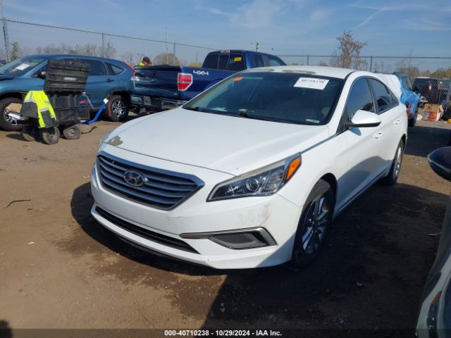 Photo 1 VIN: 5NPE24AF4HH481010 - HYUNDAI SONATA 