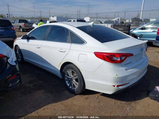 Photo 2 VIN: 5NPE24AF4HH481010 - HYUNDAI SONATA 