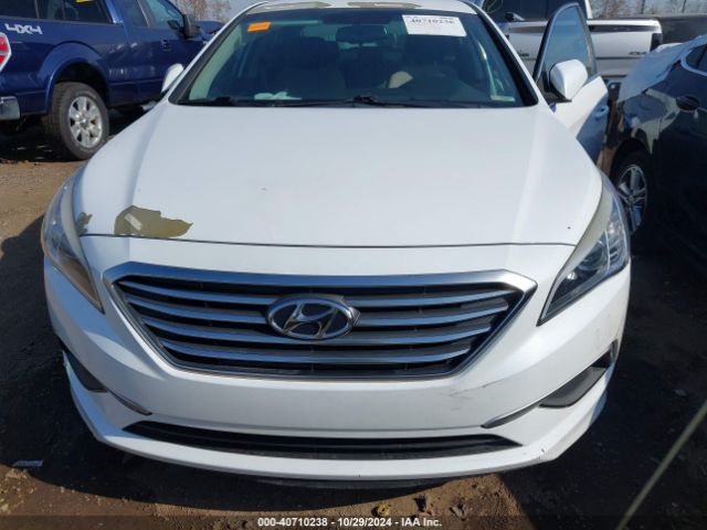 Photo 5 VIN: 5NPE24AF4HH481010 - HYUNDAI SONATA 