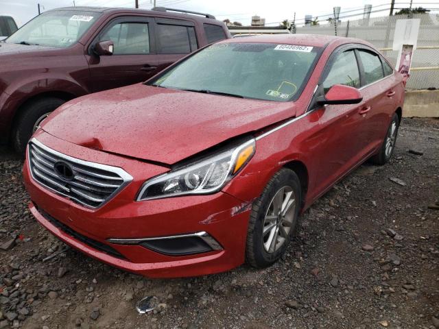 Photo 1 VIN: 5NPE24AF4HH491374 - HYUNDAI SONATA 