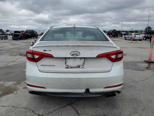 Photo 5 VIN: 5NPE24AF4HH494372 - HYUNDAI SONATA 