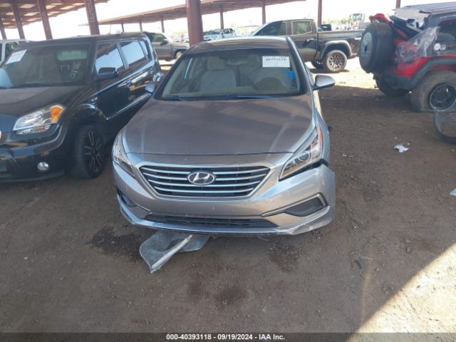 Photo 5 VIN: 5NPE24AF4HH501143 - HYUNDAI SONATA 