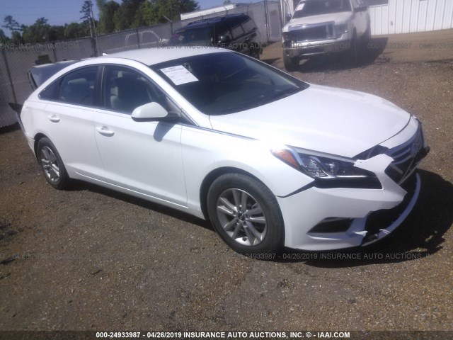 Photo 0 VIN: 5NPE24AF4HH509288 - HYUNDAI SONATA 