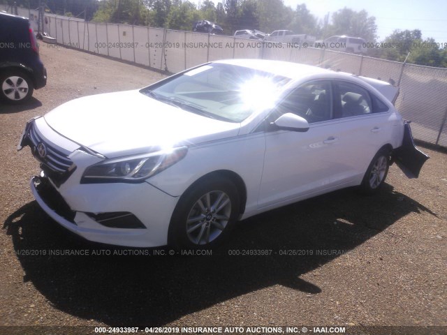 Photo 1 VIN: 5NPE24AF4HH509288 - HYUNDAI SONATA 