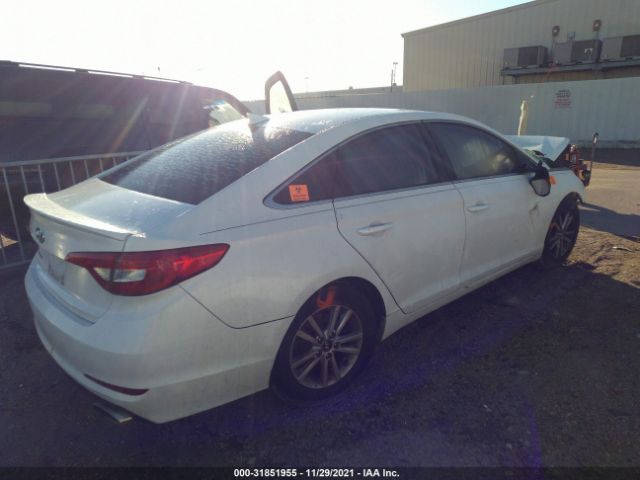 Photo 3 VIN: 5NPE24AF4HH513034 - HYUNDAI SONATA 