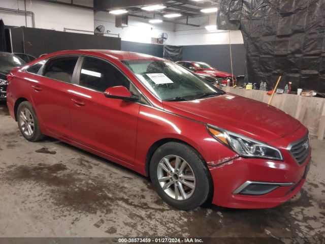 Photo 5 VIN: 5NPE24AF4HH525524 - HYUNDAI SONATA 