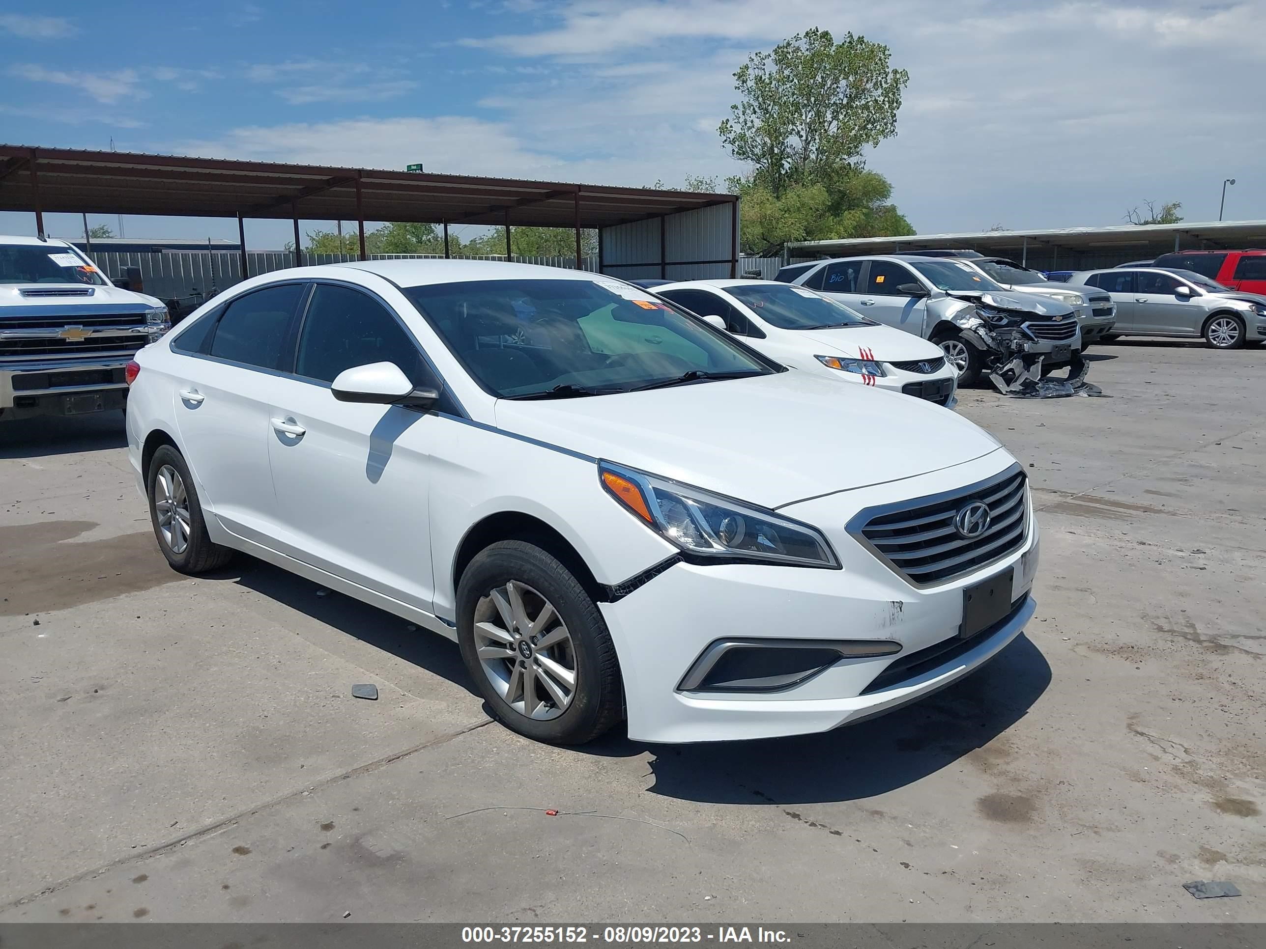 Photo 0 VIN: 5NPE24AF4HH536166 - HYUNDAI SONATA 