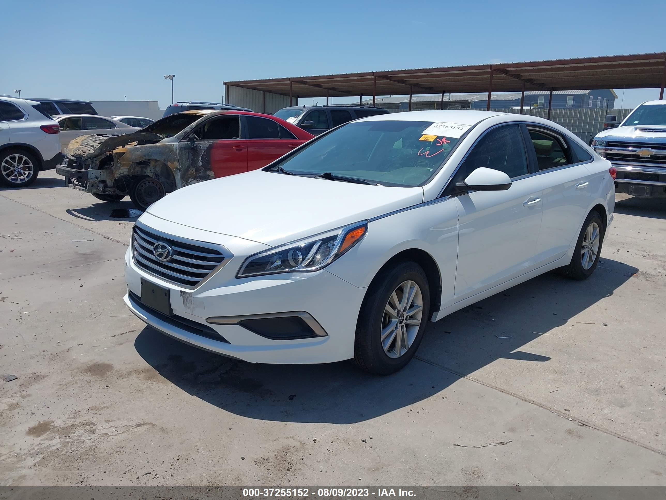 Photo 1 VIN: 5NPE24AF4HH536166 - HYUNDAI SONATA 