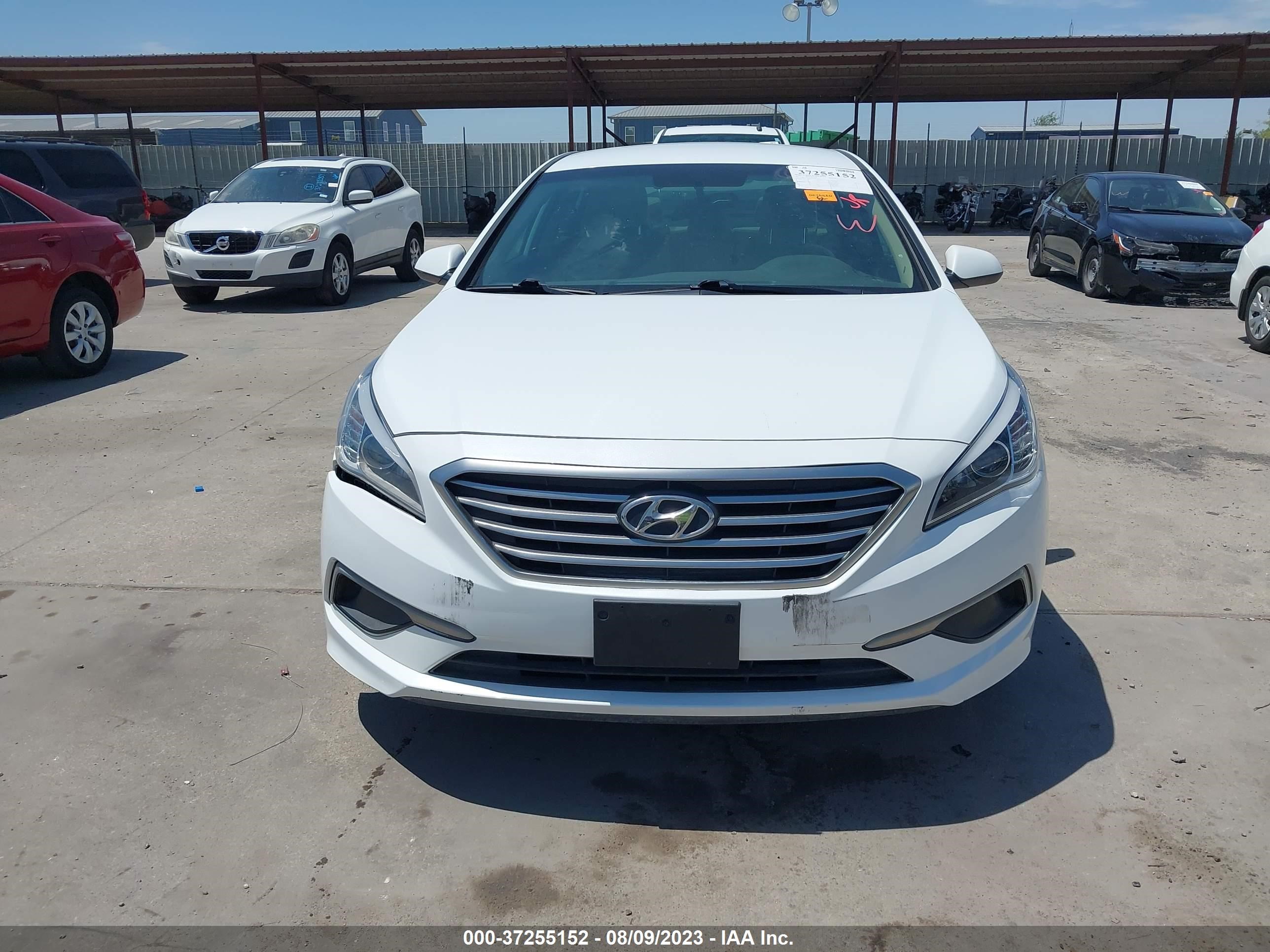 Photo 10 VIN: 5NPE24AF4HH536166 - HYUNDAI SONATA 