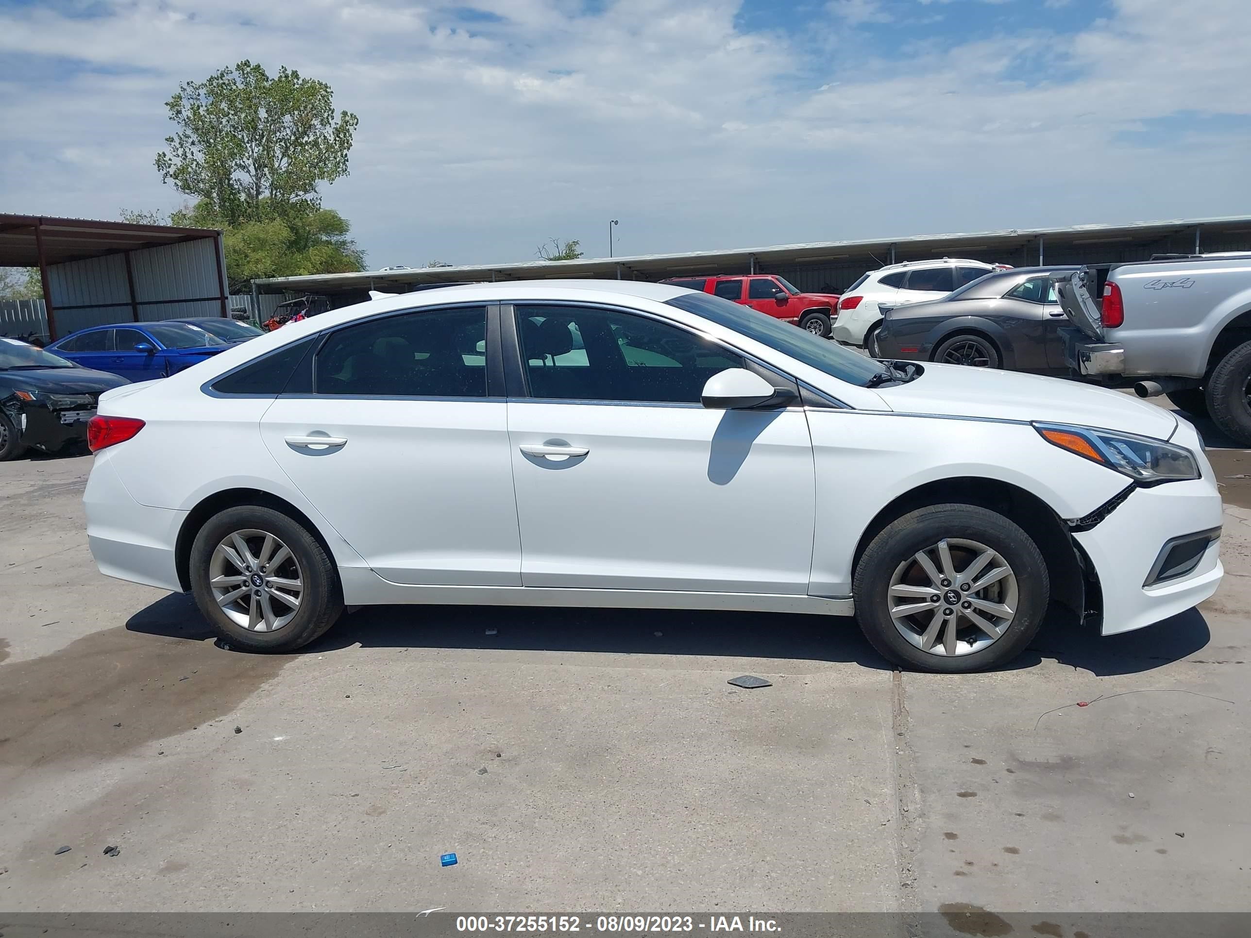 Photo 11 VIN: 5NPE24AF4HH536166 - HYUNDAI SONATA 