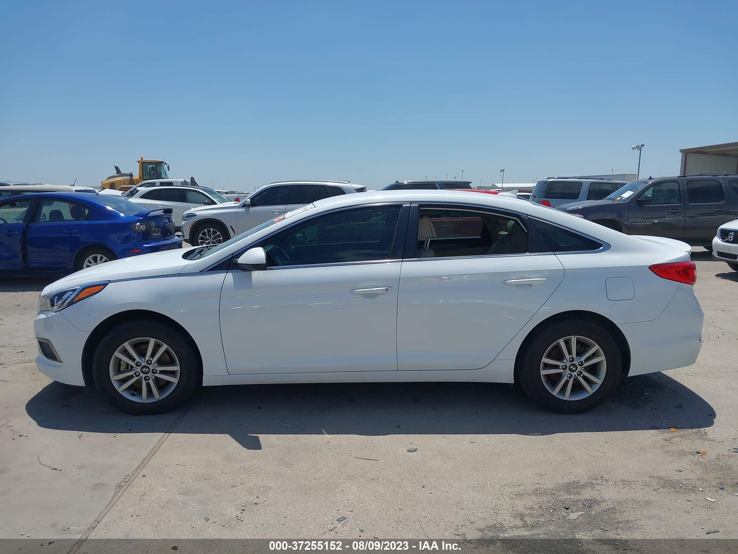 Photo 12 VIN: 5NPE24AF4HH536166 - HYUNDAI SONATA 