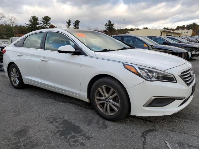 Photo 3 VIN: 5NPE24AF4HH548916 - HYUNDAI SONATA 