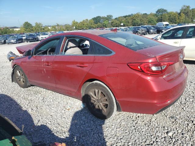 Photo 1 VIN: 5NPE24AF4HH550570 - HYUNDAI SONATA 