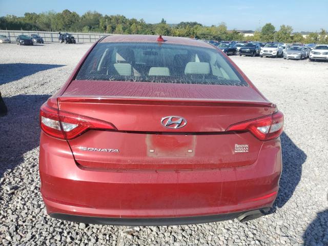 Photo 5 VIN: 5NPE24AF4HH550570 - HYUNDAI SONATA 