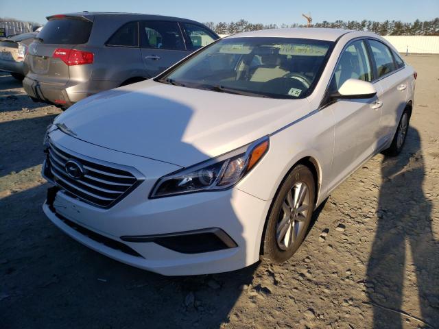 Photo 1 VIN: 5NPE24AF4HH555588 - HYUNDAI SONATA SE 