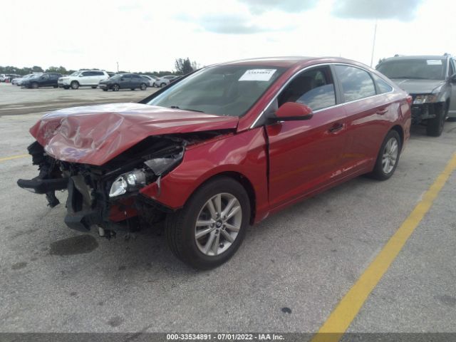 Photo 1 VIN: 5NPE24AF4HH567109 - HYUNDAI SONATA 