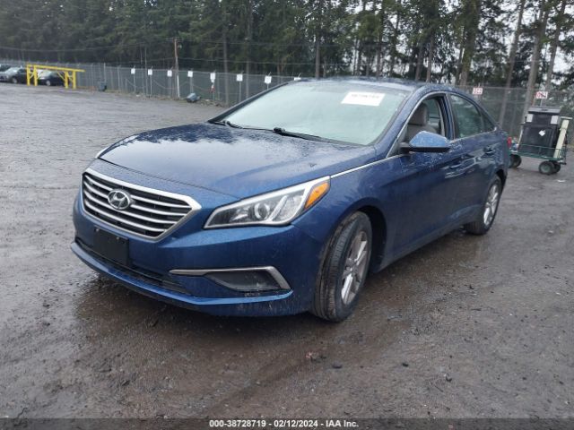 Photo 1 VIN: 5NPE24AF4HH591586 - HYUNDAI SONATA 