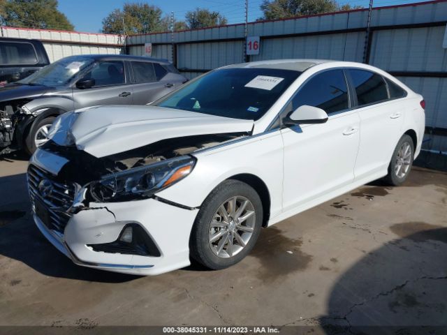 Photo 1 VIN: 5NPE24AF4JH600311 - HYUNDAI SONATA 