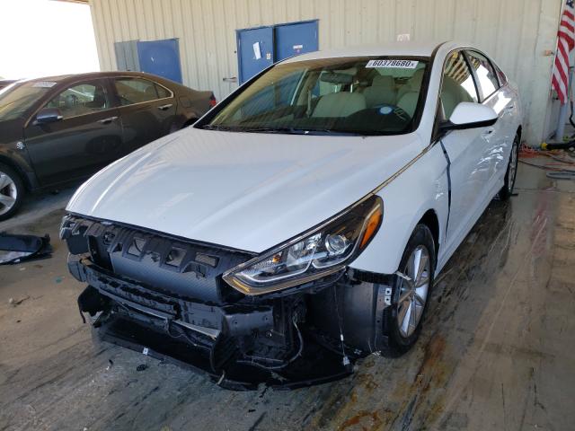 Photo 1 VIN: 5NPE24AF4JH644535 - HYUNDAI SONATA 