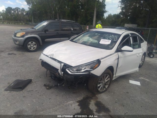 Photo 1 VIN: 5NPE24AF4JH705494 - HYUNDAI SONATA 