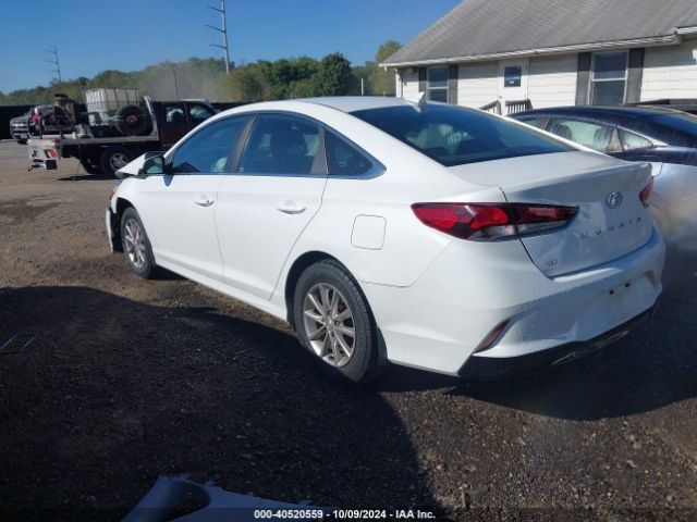 Photo 2 VIN: 5NPE24AF4KH743230 - HYUNDAI SONATA 