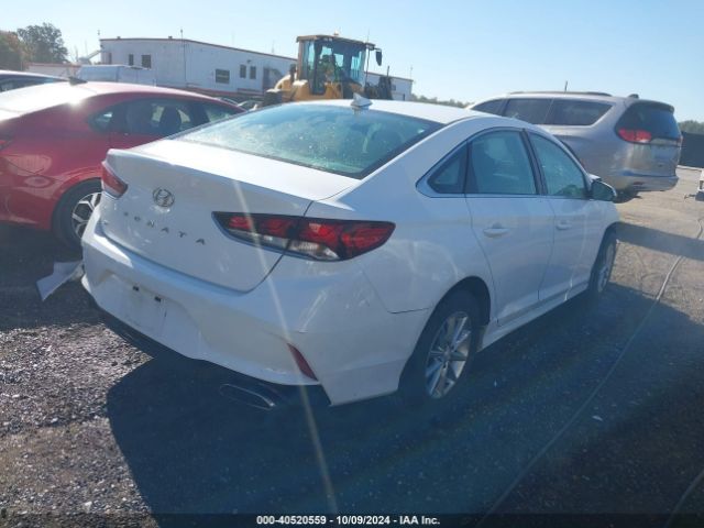 Photo 3 VIN: 5NPE24AF4KH743230 - HYUNDAI SONATA 