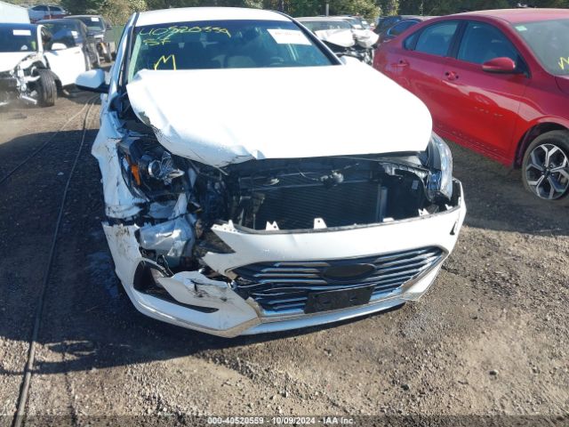 Photo 5 VIN: 5NPE24AF4KH743230 - HYUNDAI SONATA 