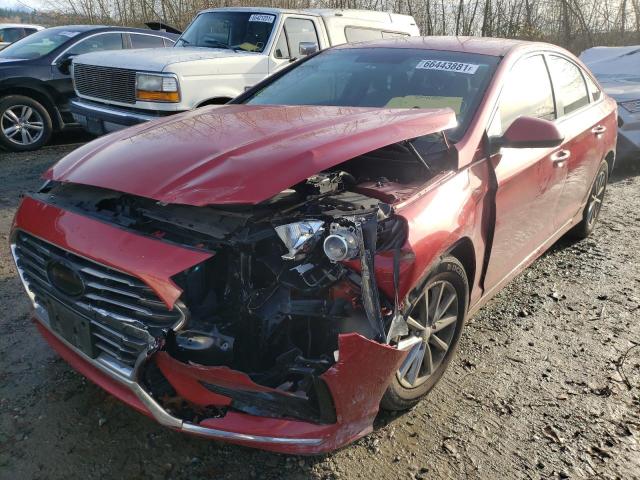 Photo 1 VIN: 5NPE24AF4KH744944 - HYUNDAI SONATA SE 