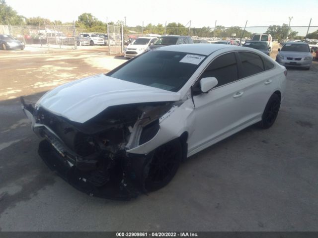 Photo 1 VIN: 5NPE24AF4KH755636 - HYUNDAI SONATA 